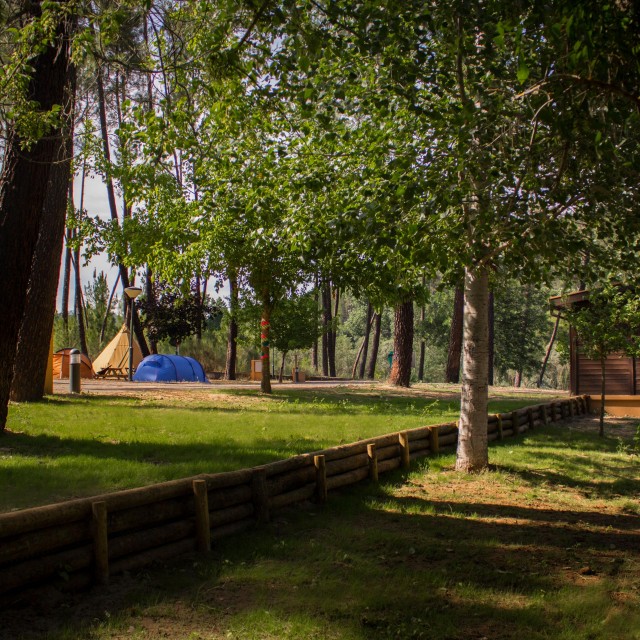 Casa dos Girassóis - Xisto Camping
